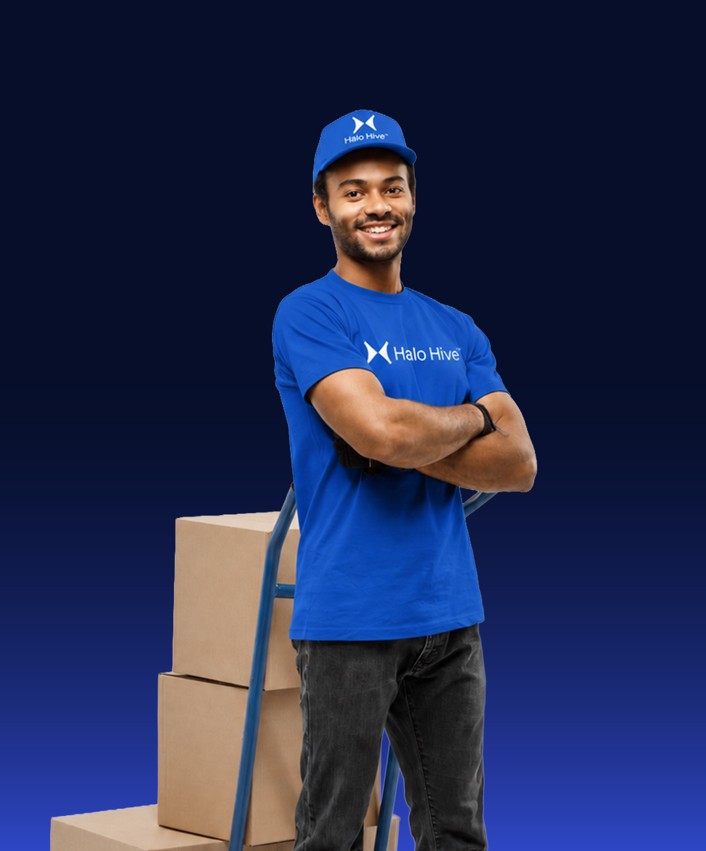 Halo Hive verified service professional